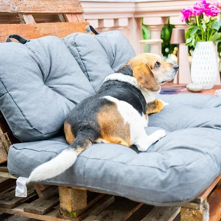 Casa Diana アパート アルマ・ディ・タッジャ