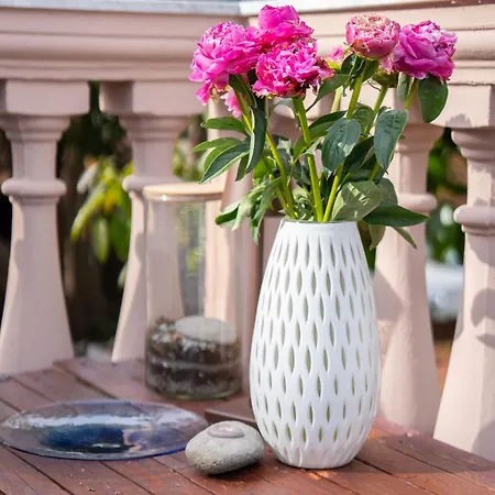 Casa Diana アパート アルマ・ディ・タッジャ