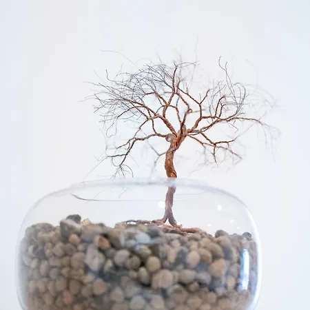 Apartament Casa Diana Arma di Taggia