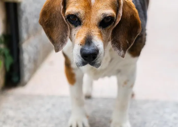 Apartamento Casa Diana Arma di Taggia